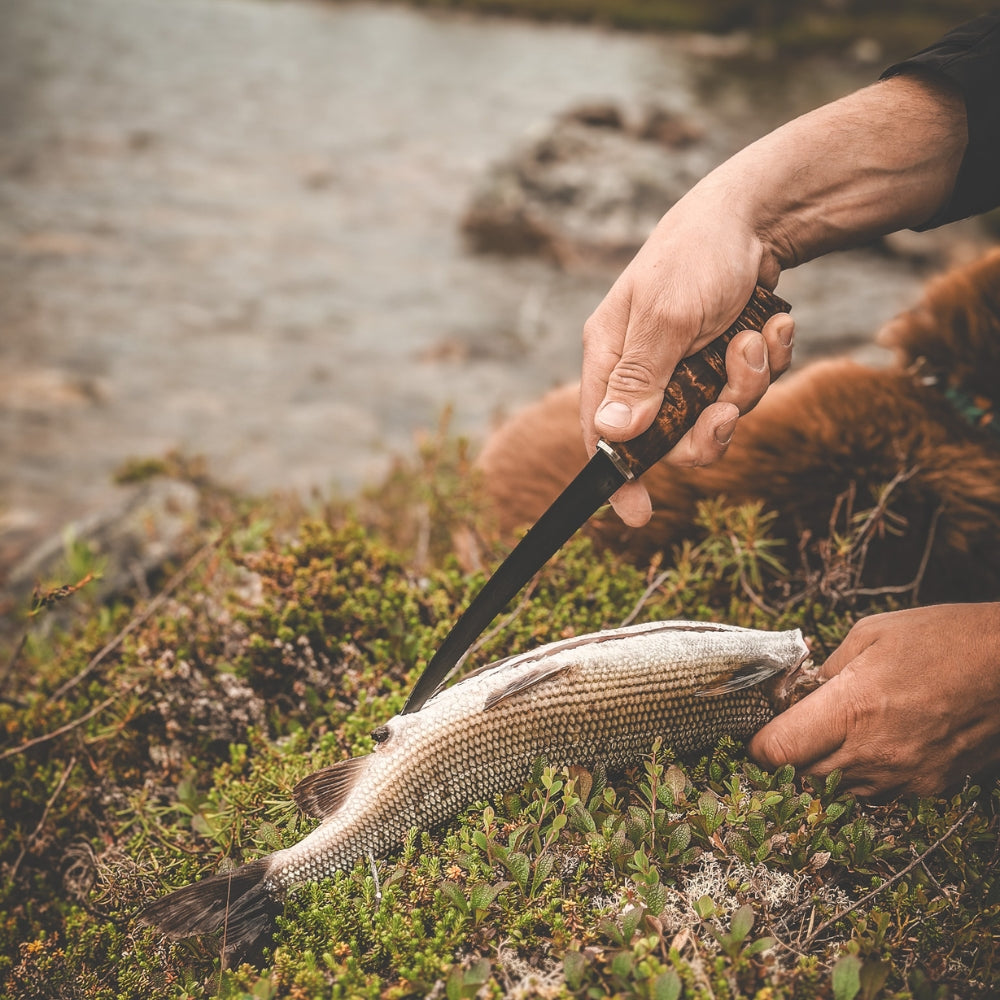 Roselli's handmade fillet and fishing knife with a long blade of carbon steel. 